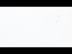 NEMA 23 パンケーキステップモーター 超薄型 高いトルク性能