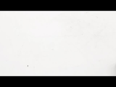 NEMA 17 ボールスクリューステップモーター障害